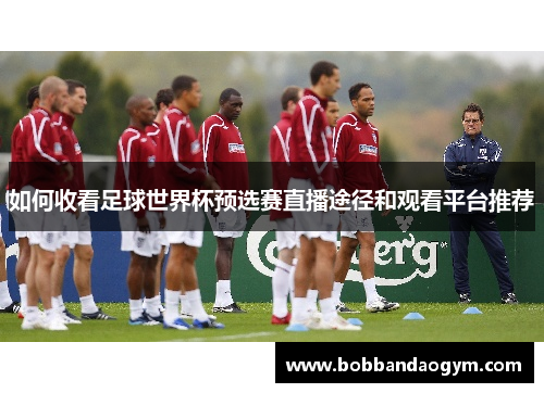 如何收看足球世界杯预选赛直播途径和观看平台推荐