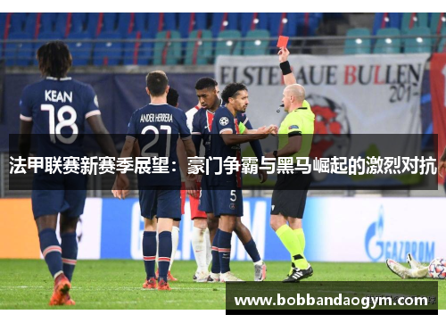 法甲联赛新赛季展望：豪门争霸与黑马崛起的激烈对抗