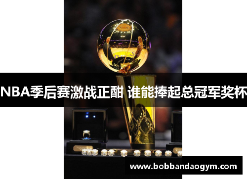 NBA季后赛激战正酣 谁能捧起总冠军奖杯