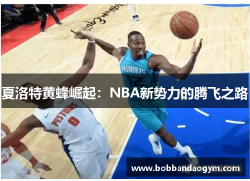 夏洛特黄蜂崛起：NBA新势力的腾飞之路