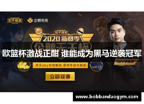 欧篮杯激战正酣 谁能成为黑马逆袭冠军