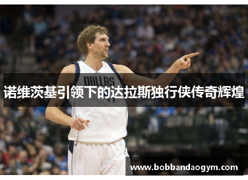 诺维茨基引领下的达拉斯独行侠传奇辉煌