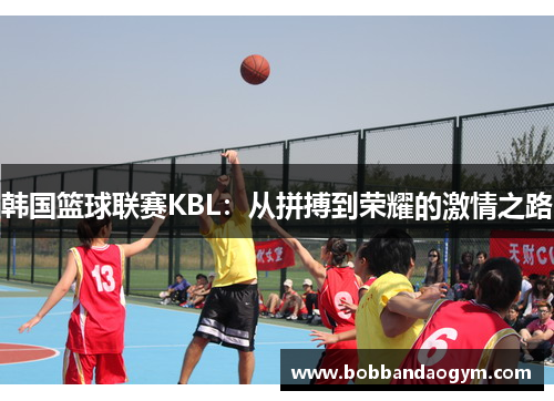 韩国篮球联赛KBL：从拼搏到荣耀的激情之路
